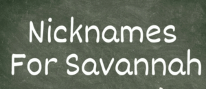 Nicknames for Savannah