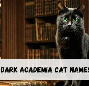 Dark Academia Cat Names