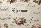 Names Like Eleanor