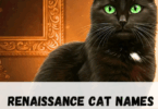 Renaissance Cat Names