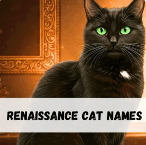 Renaissance Cat Names