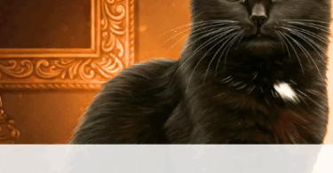 Renaissance Cat Names