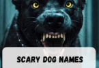 Scary Dog Names