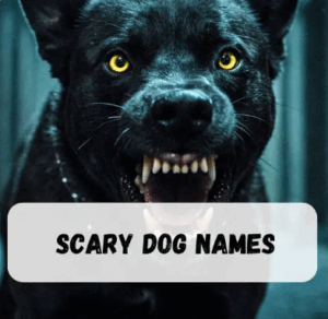 Scary Dog Names