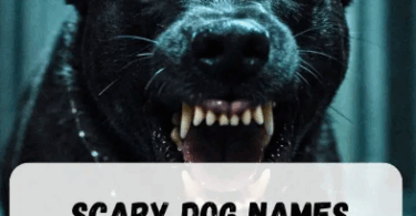 Scary Dog Names