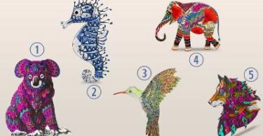 Scegli uno dei totem animali e scopri il tuo potere spirituale