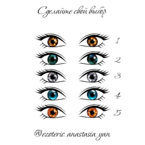 Test - Controllo della vista