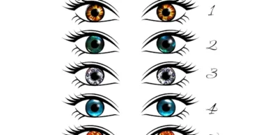 Test - Controllo della vista