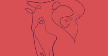 Cosa vedi per primo in questa illusione ottica svela se sei una persona sincera